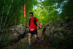 BIB: 
                            <button type="button" onclick="openModal(22089919)" class="btn btn-primary btn-sm float-right btn-popup" data-toggle="modal" data-target=".modal-high-quality">
                        <i class="fas fa-shopping-cart"></i> Add to Cart
                    </button>
                                            <button type="button" onclick="isThisMe(22089919, true)" class="btn btn-success btn-sm float-right btn-popup btn-isme hidden" data-toggle="tooltip" data-placement="bottom" title="นี่คือรูปของคุณใช่ไหม คลิกที่นี่เพื่อเอาเข้าอัลบั้ม">
                        <i class="fas fa-plus"></i> Add to album
                    </button>
                    <button type="button" onclick="isThisMe(22089919, false)" class="btn btn-warning btn-sm float-right btn-popup btn-isnotme hidden">
                        <i class="fas fa-ban"></i> Remove from album
                    </button>